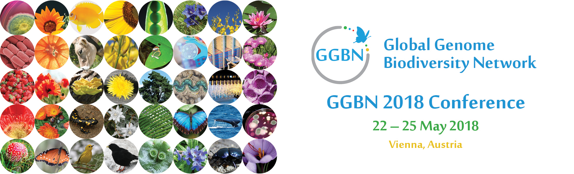 GGBN-Banner 940x285px v4.png