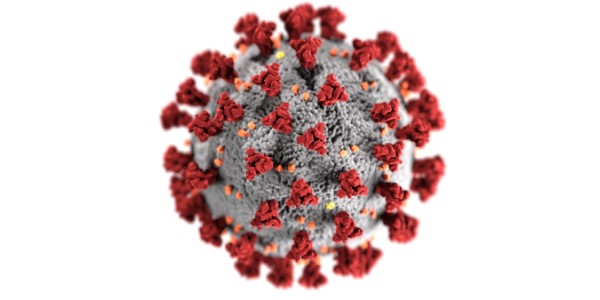 Coronavirus open access.jpg