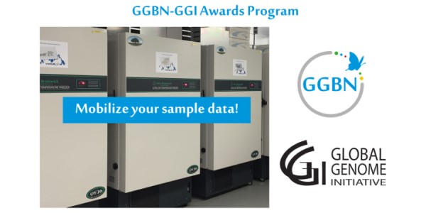 Ggbn-ggi-awards-program 600x300.jpg