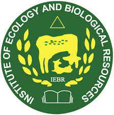 IEBR logo.jpg